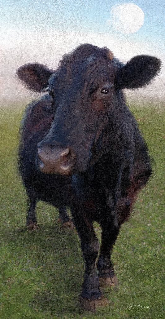 Funky Cow II Canvas Print
