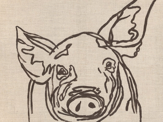 Farm Sketch Pig Canvas Print