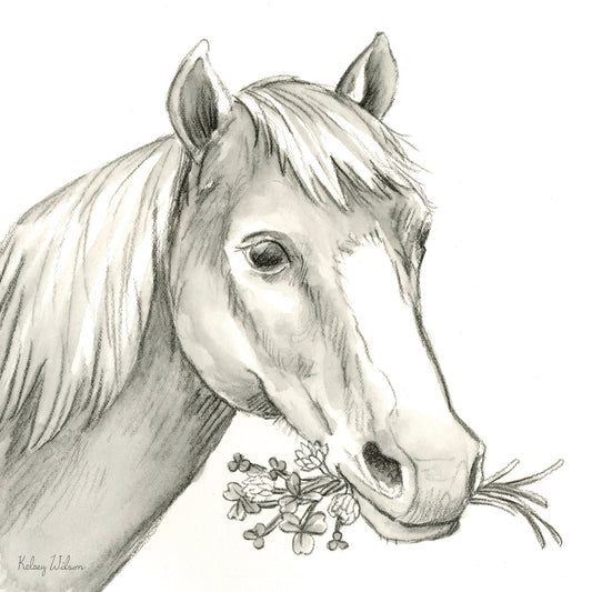 Watercolor Pencil Farm III-Horse Canvas Print