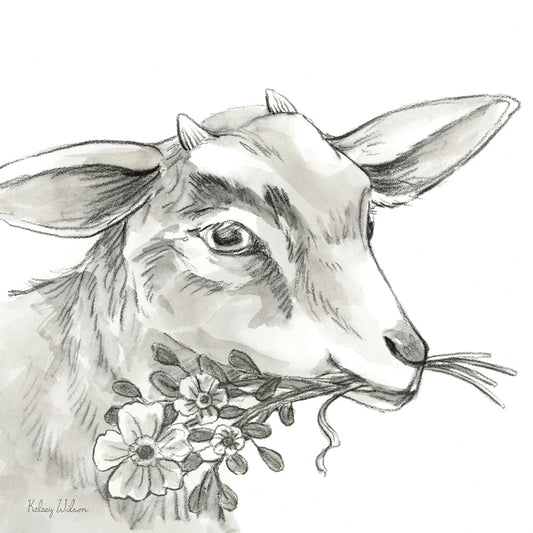 Watercolor Pencil Farm IV-Goat Canvas Print