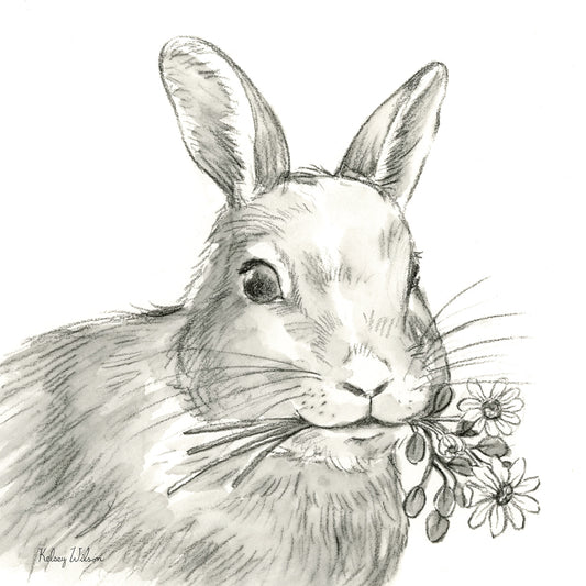 Watercolor Pencil Farm V-Rabbit