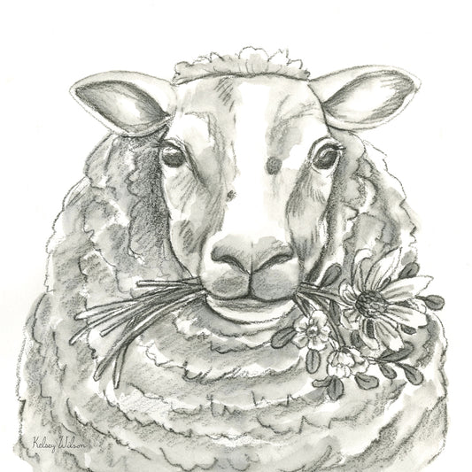 Watercolor Pencil Farm IX-Sheep Canvas Print
