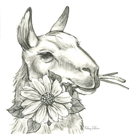 Watercolor Pencil Farm XI-Llama 2 Canvas Print