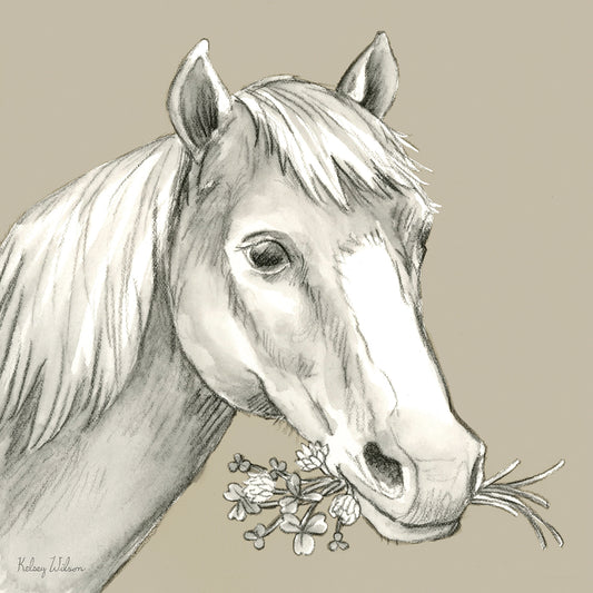 Watercolor Pencil Farm color III-Horse Canvas Print