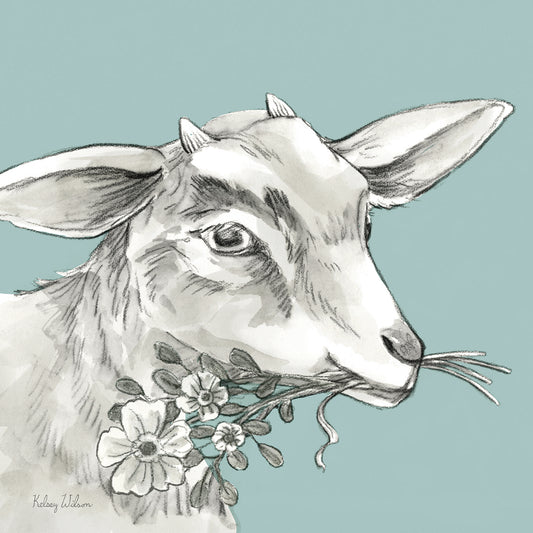 Watercolor Pencil Farm color IV-Goat Canvas Print