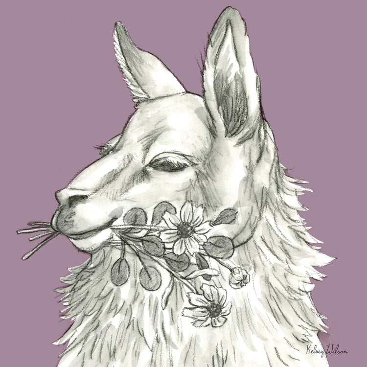 Watercolor Pencil Farm color VII-Llama