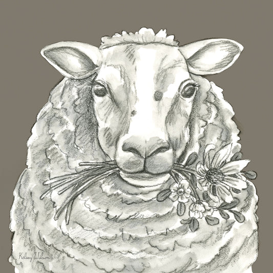 Watercolor Pencil Farm color IX-Sheep Canvas Print