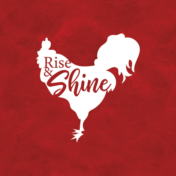 Farm Yard Friends V-Rise & Shine