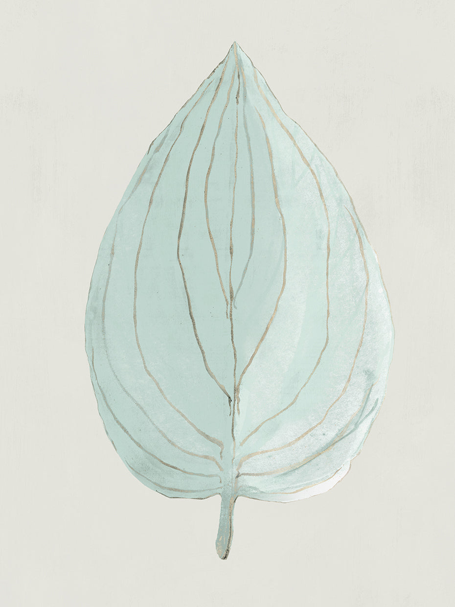 Shimmering Teal