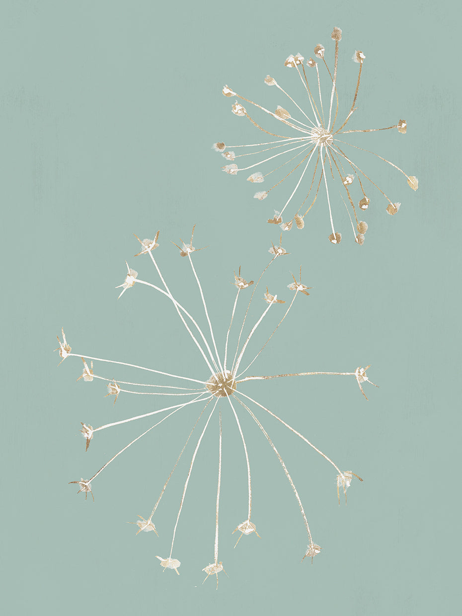 Daylight Dandelions