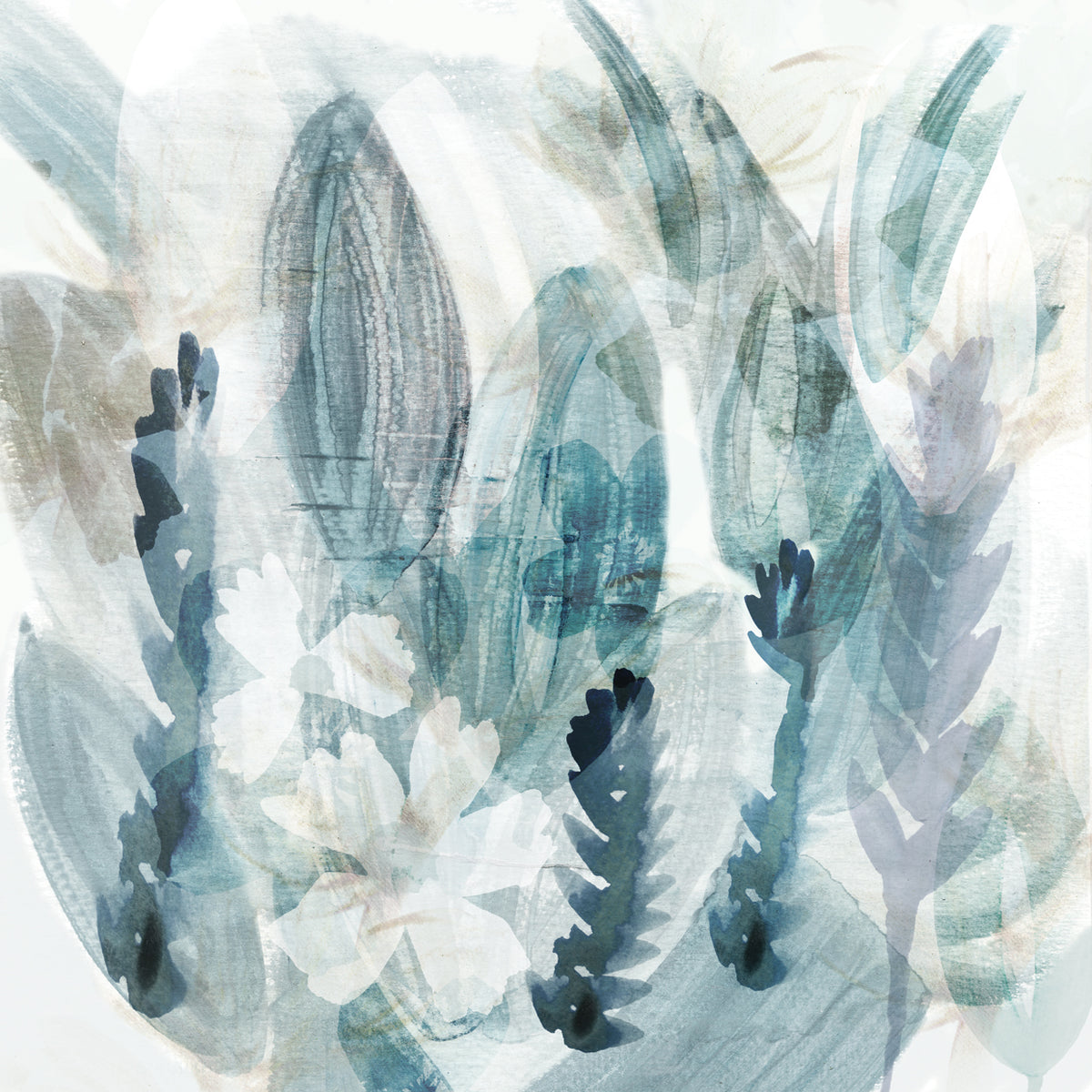 Powder Flowers II