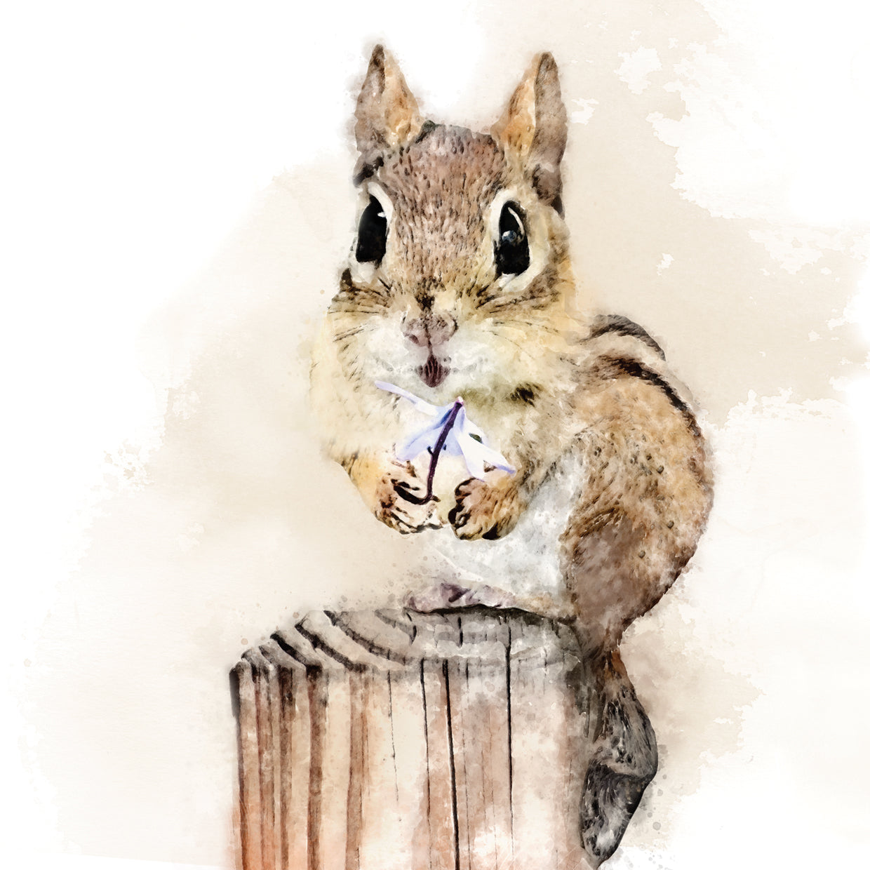 Chipmunk with Flower