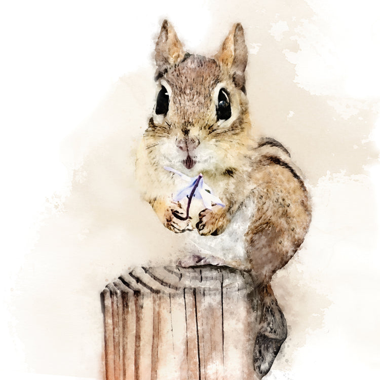 Chipmunk with Flower