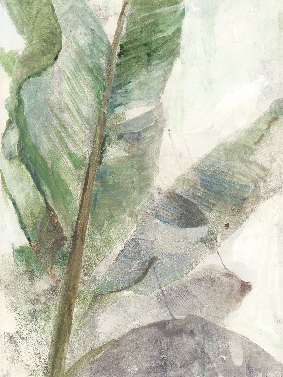 Tropic Plant