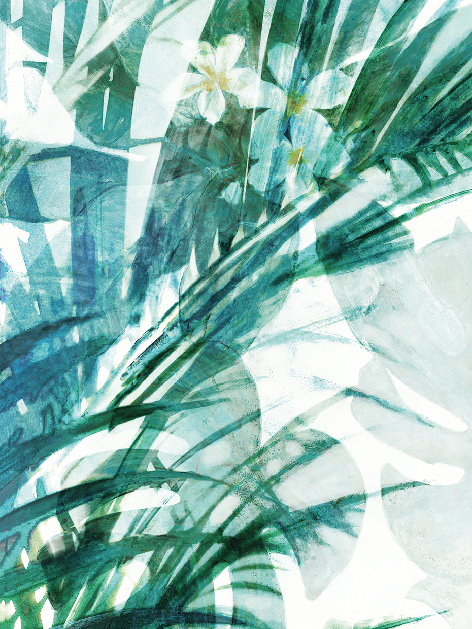 Through the Tropic