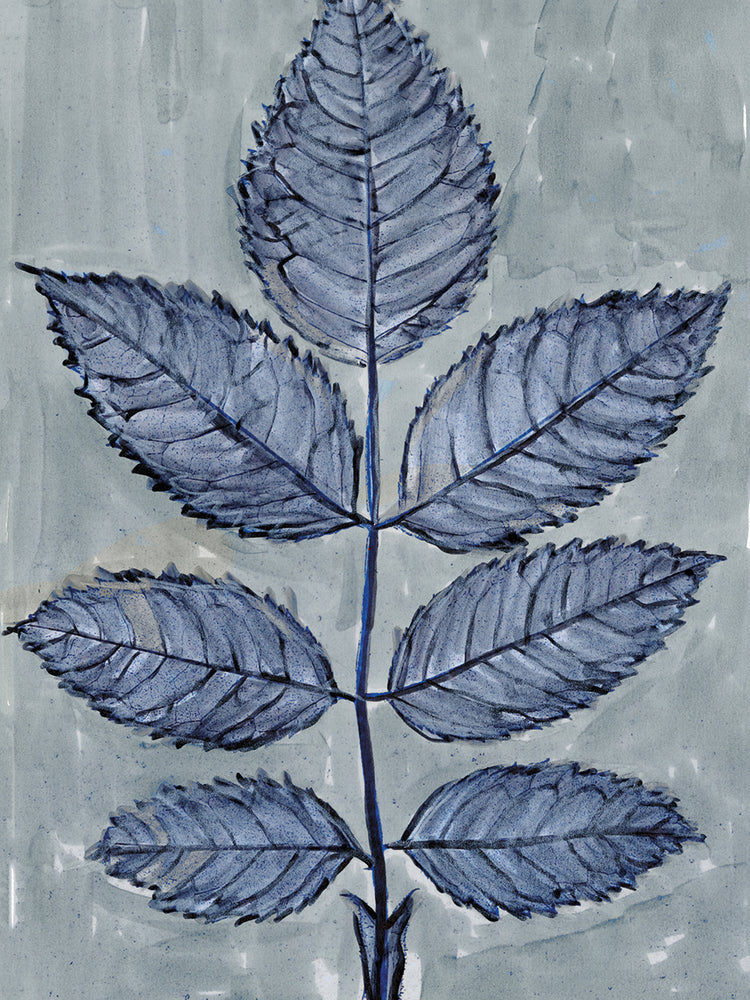 Modern Botanical Study II