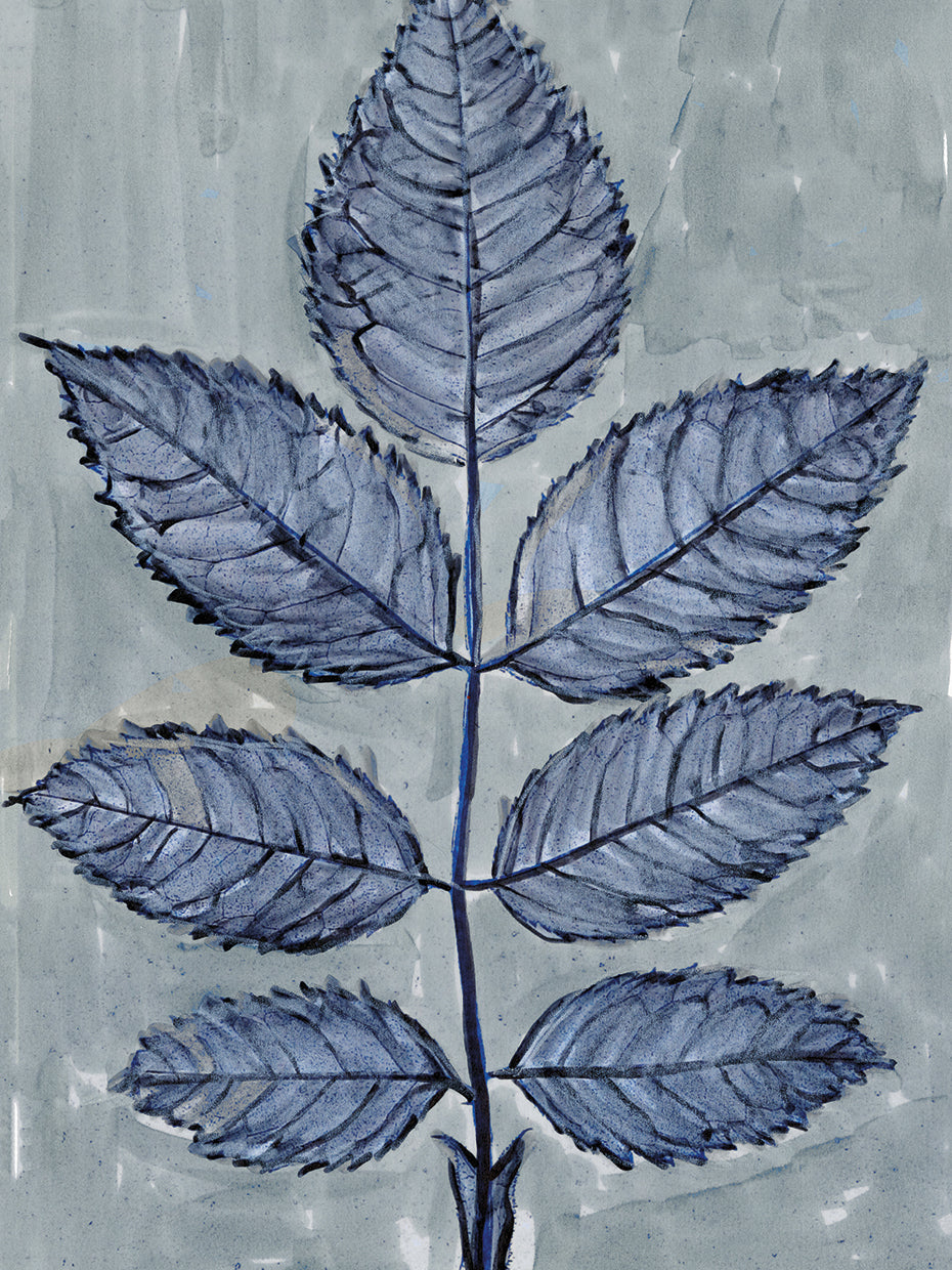 Modern Botanical Study II