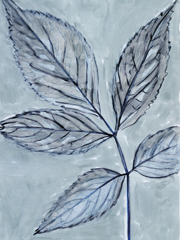 Modern Botanical Study III