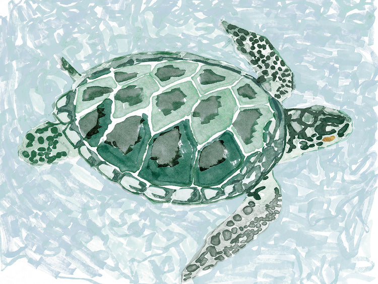 Tortuga verde i Lienzo