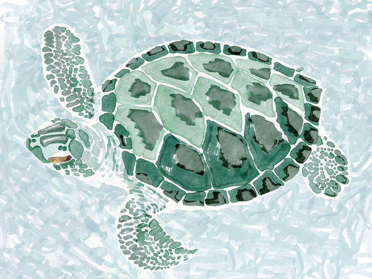 Green Turtle II