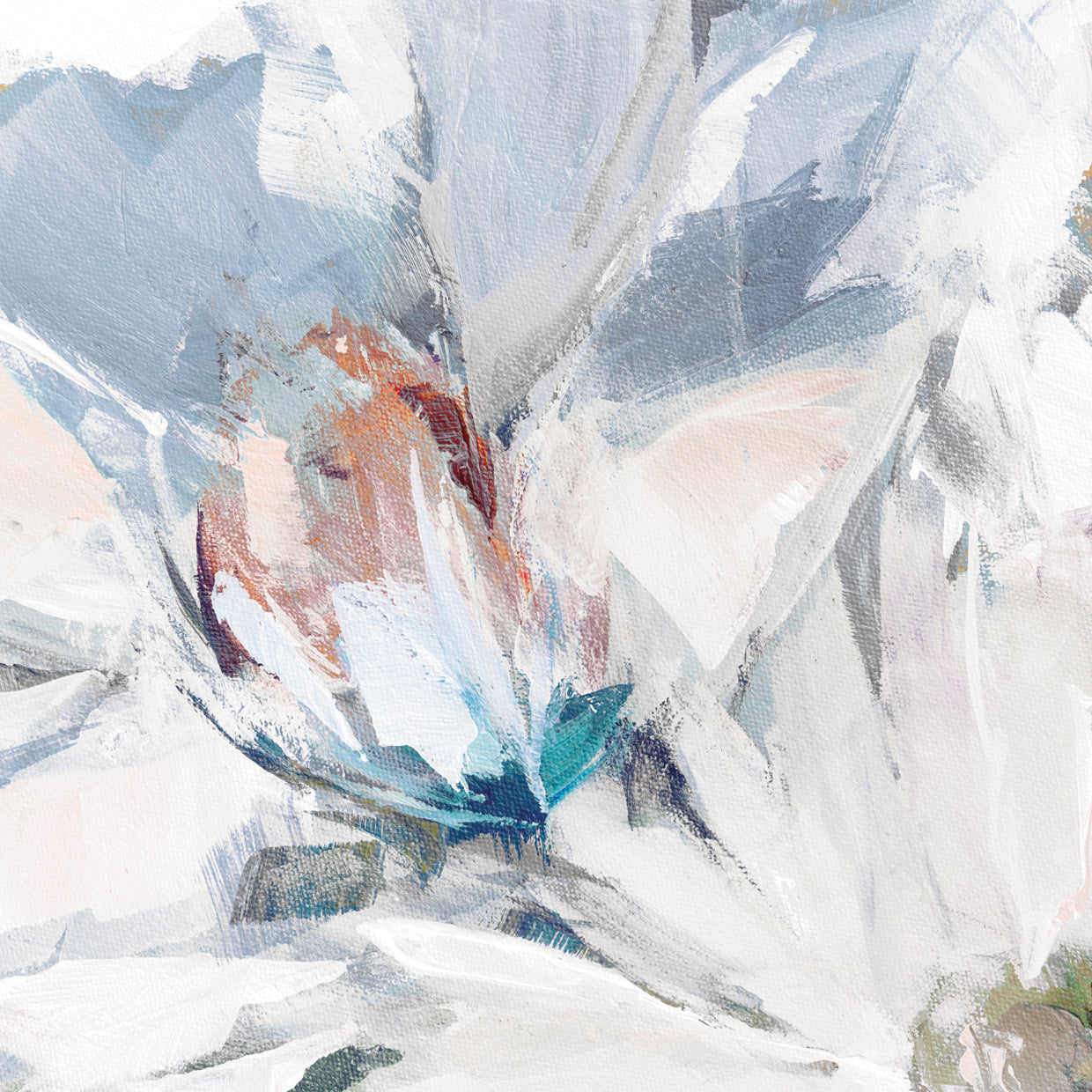 Revealing Magnificent Petals