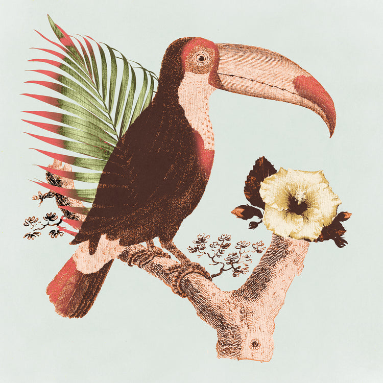 Tucán tropical Lienzo