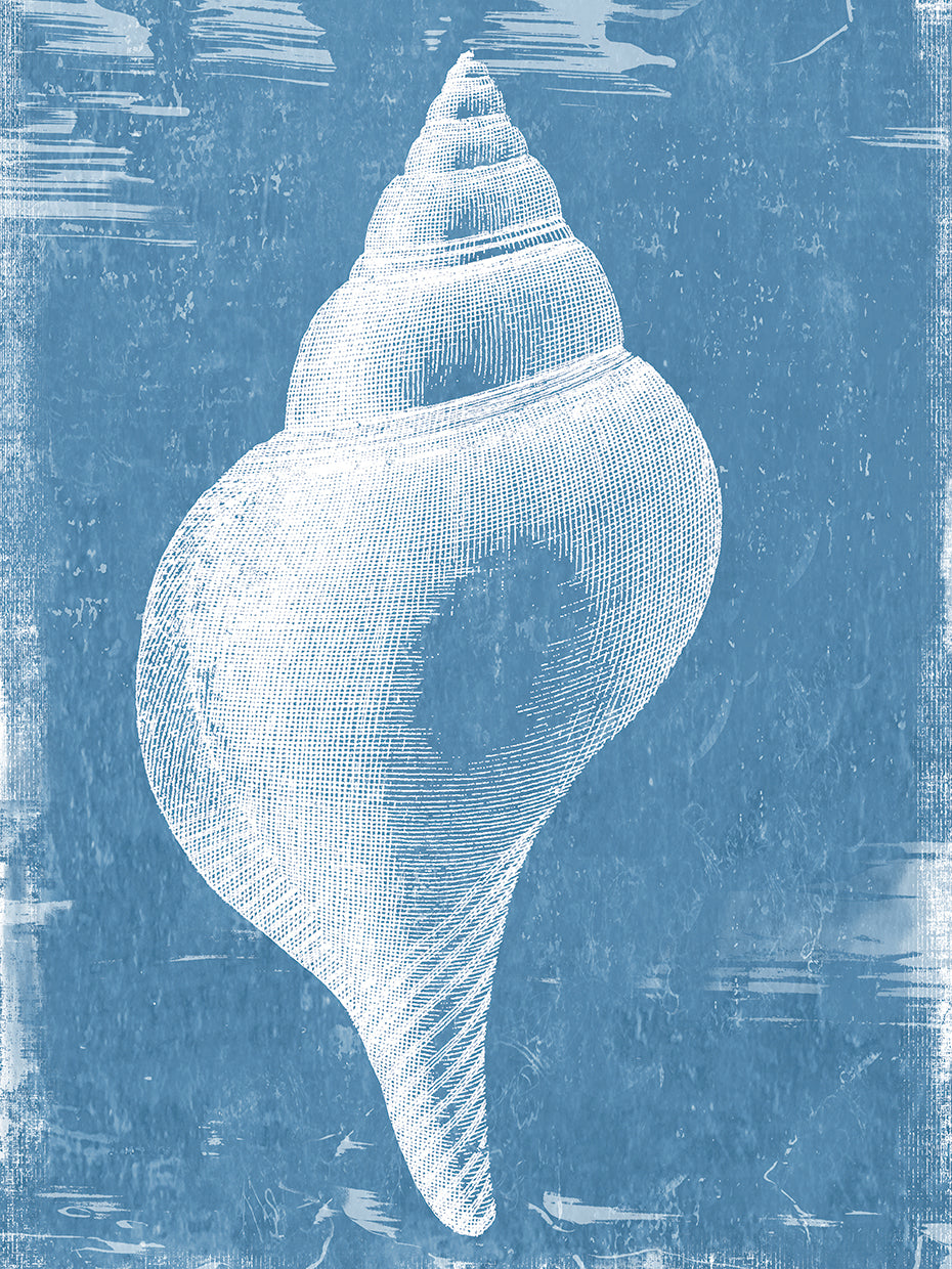 Gifts from the Sea II