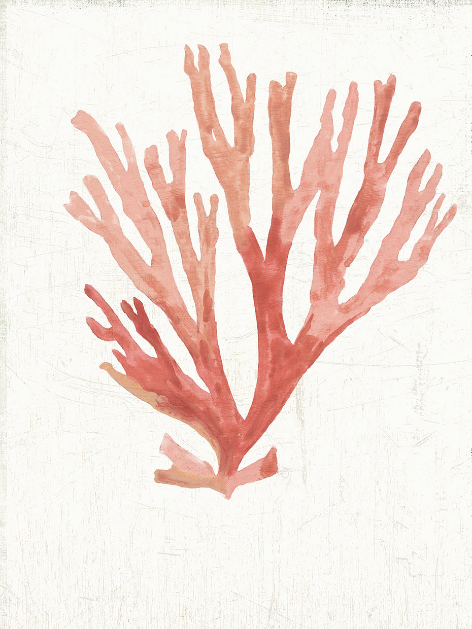 Ocean is Never Enough