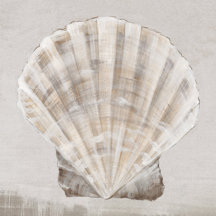 Conchas neutrales II Lienzo