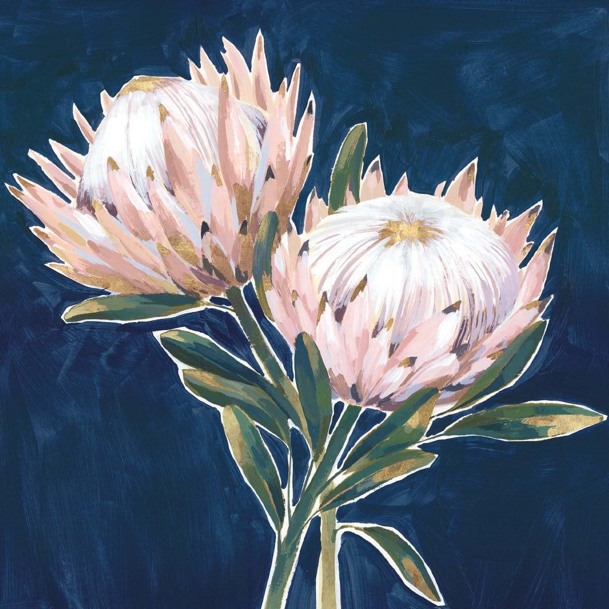 Rey Proteas Lienzo