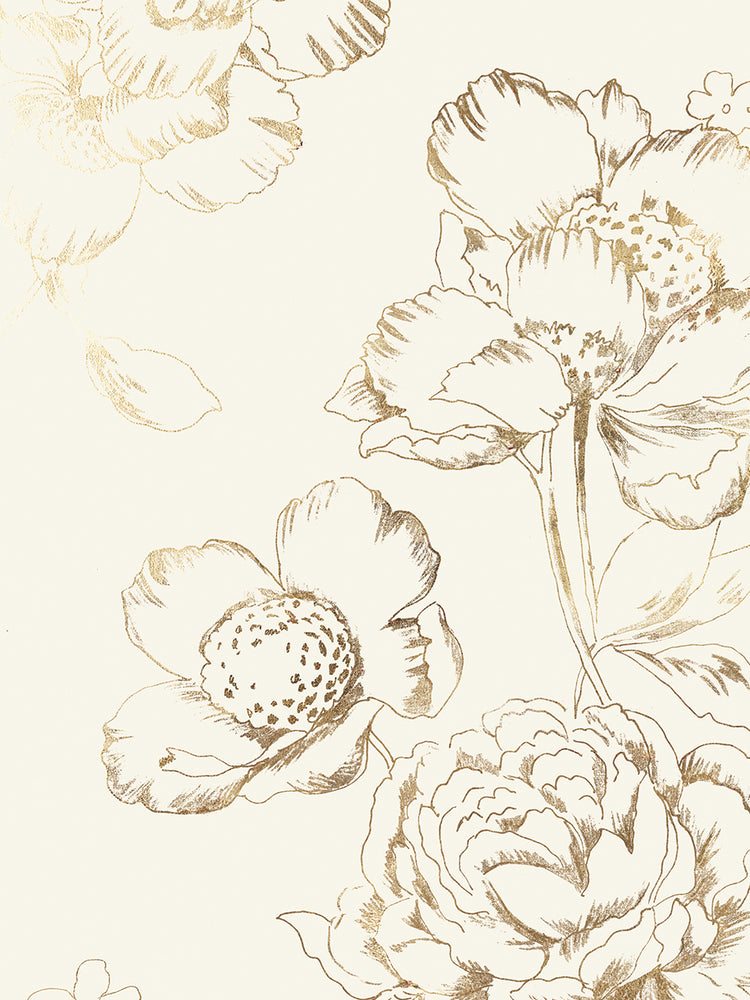 Fragile and Strong II