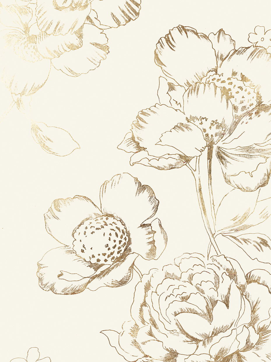 Fragile and Strong II