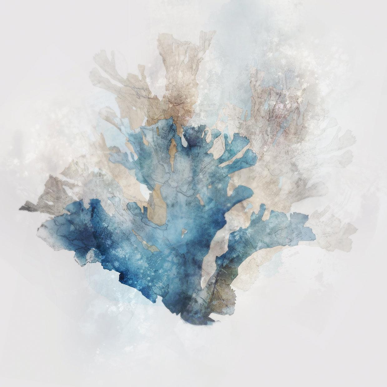 Ken Roko Ken Roko's Blue Coral Reef II Canvas Art Prints | Fine Art Canvas ...
