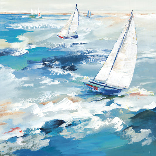 Smooth Sailing Canvas Print