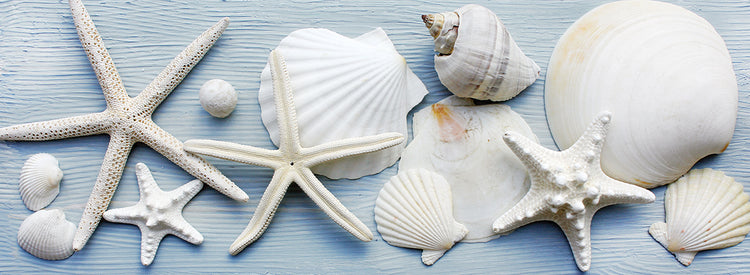 Gentle Sea Breeze II