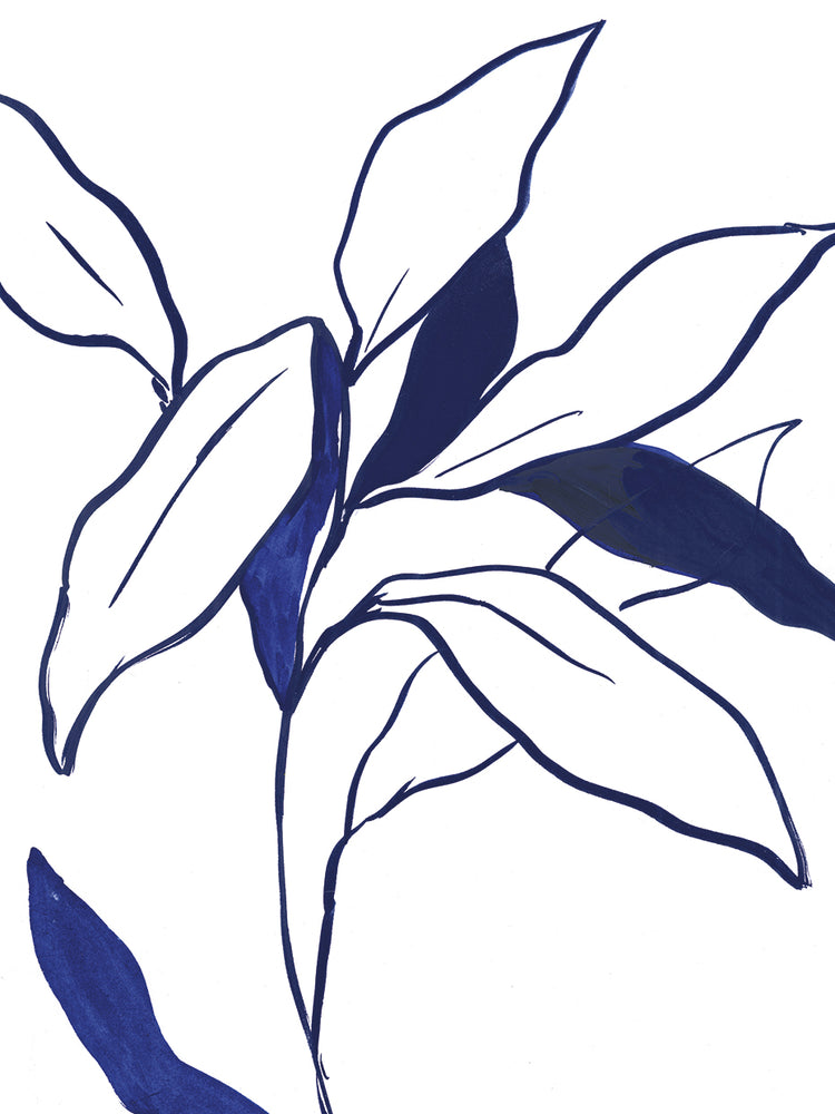 Indigo Lilly