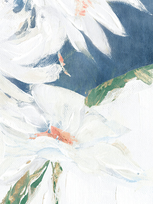 Single Daisy II Canvas Print