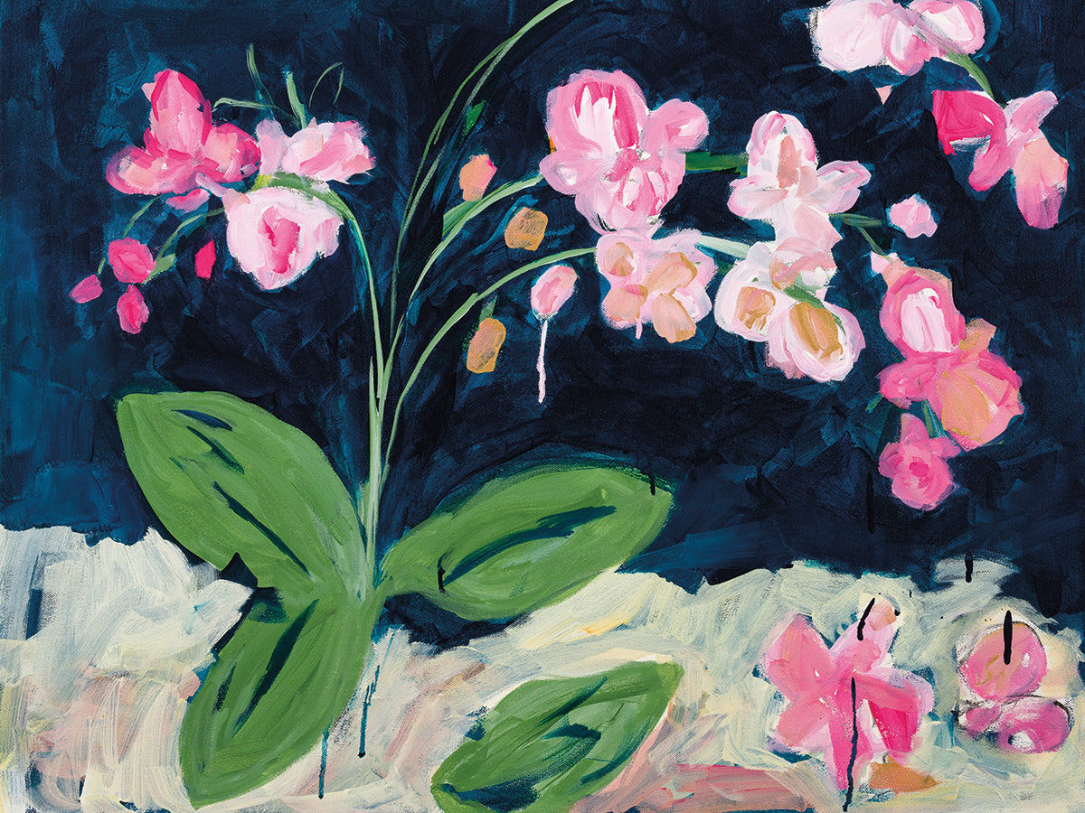 Sweet Orchids