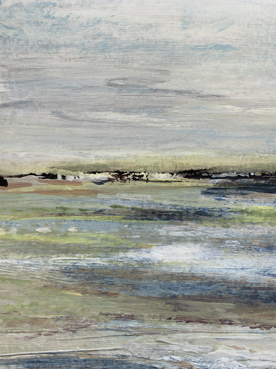 Wetlands I