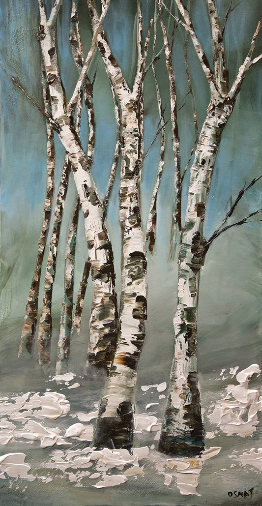 Birch trees Canvas Print