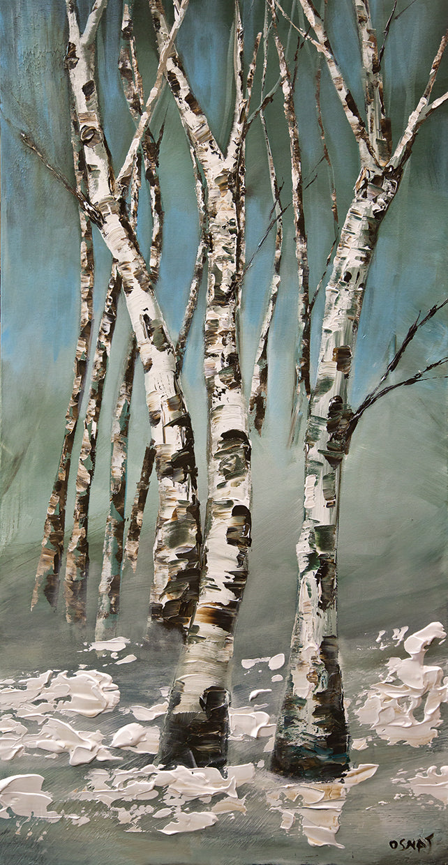 Birch trees