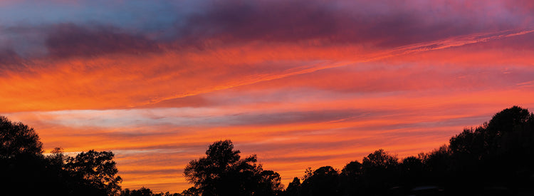 Tropical Florida Sunset
