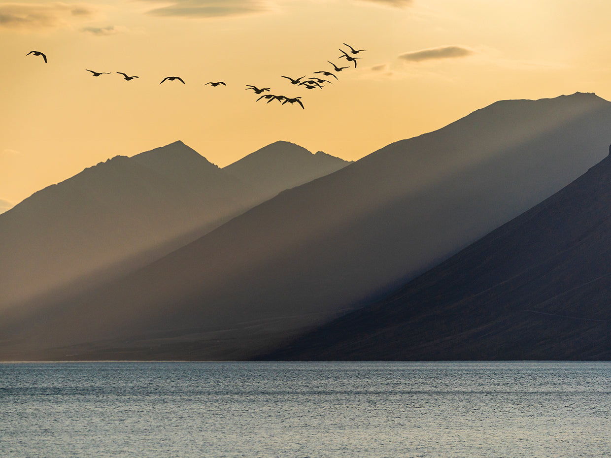Icelandic Waterfall Angles