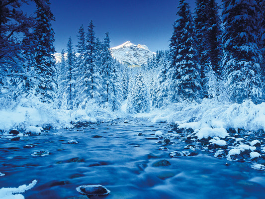 Icy Stream Banff Alberta