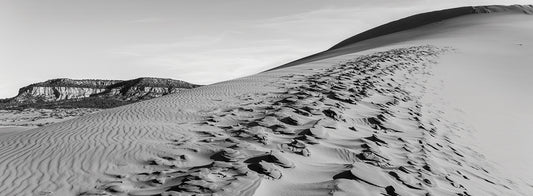 Utah Sand Dune Delight