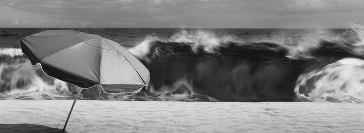 Big Wave Hawaii Beach