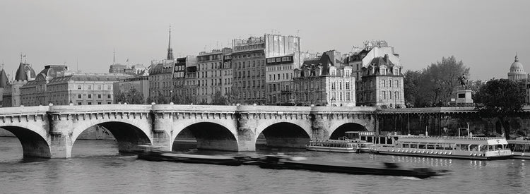 Pont Neuf Bridge Paris