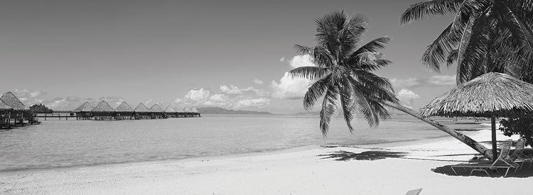 Palmeras Bora Bora Lienzo