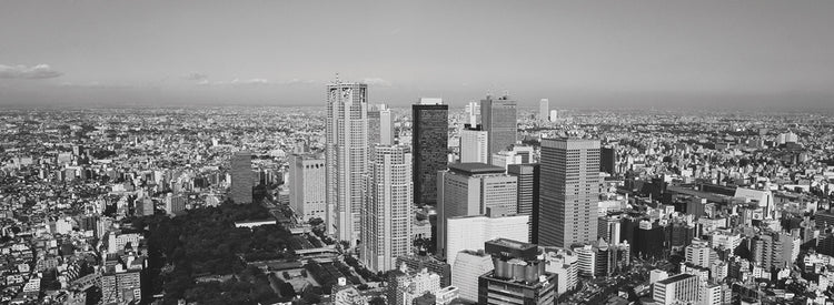 Elevándose sobre Tokio Lienzo