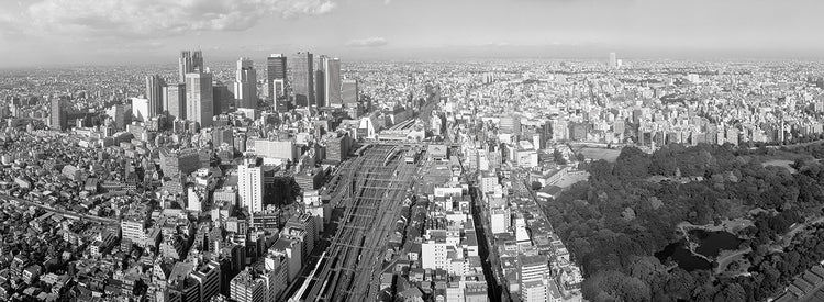 Tokio Parkview Lienzo